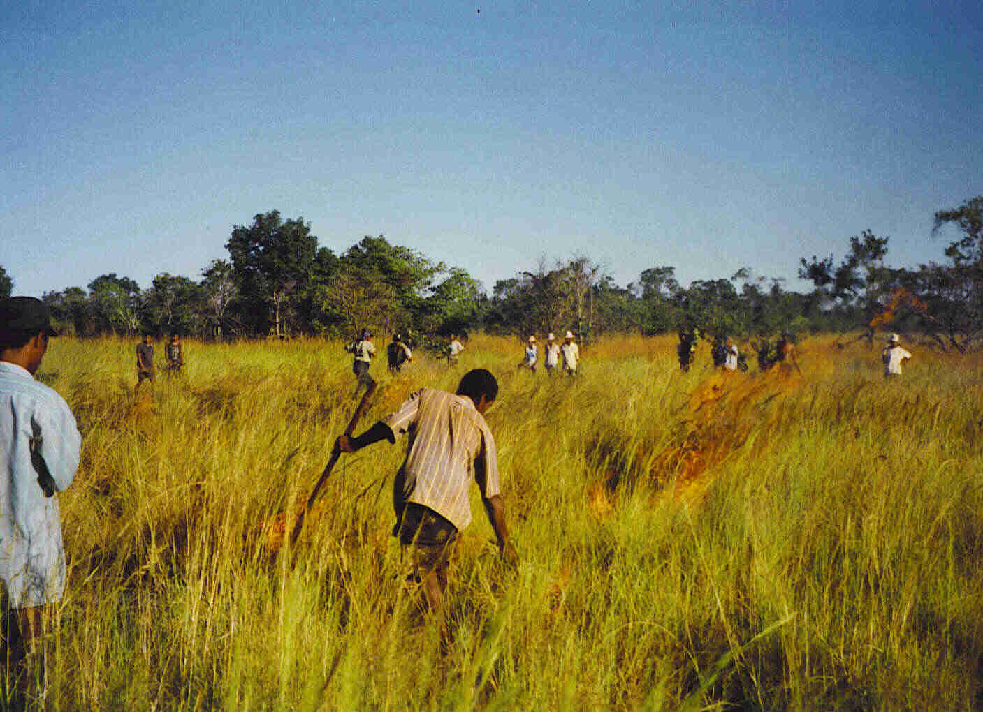 Rural Development, Livelihoods and Conservation